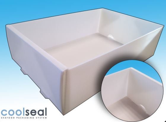 fold over end draining box