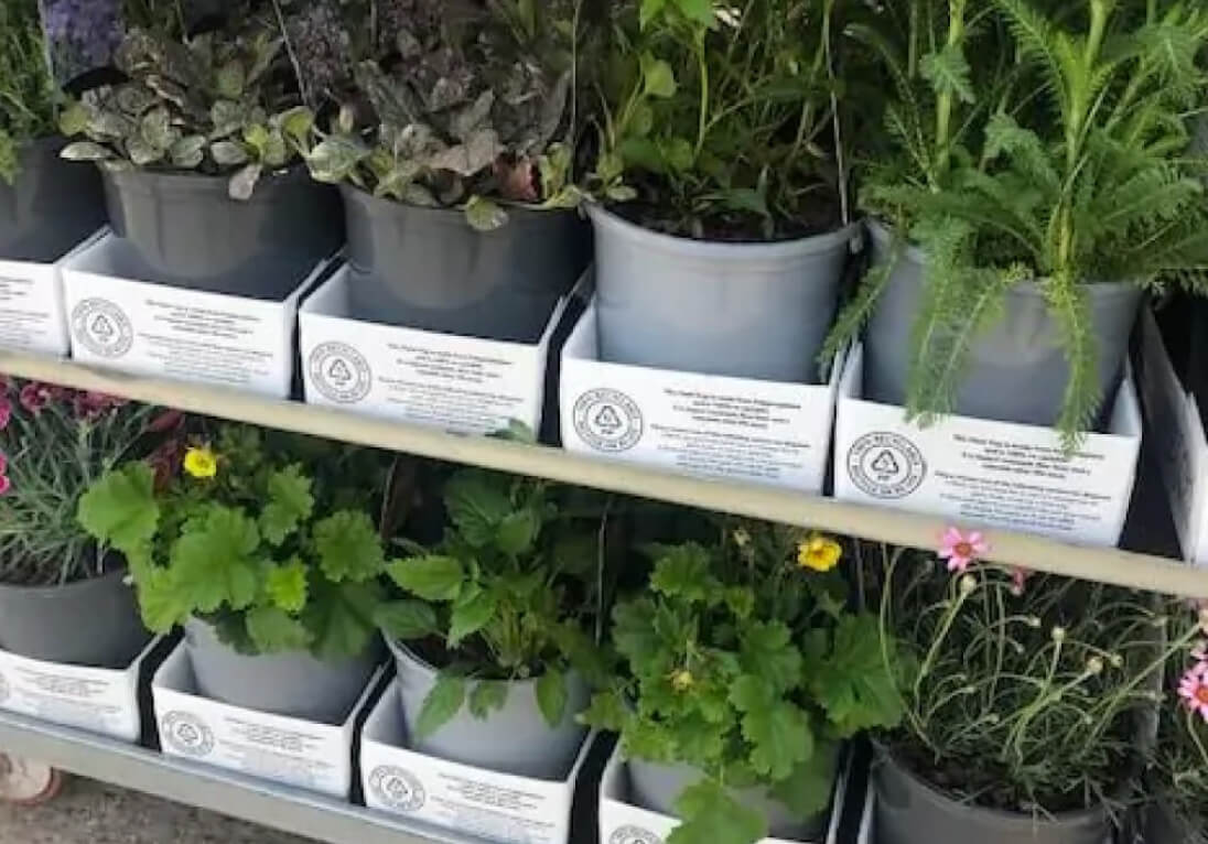 Planter i potter vist i Tri Pack-emballage.