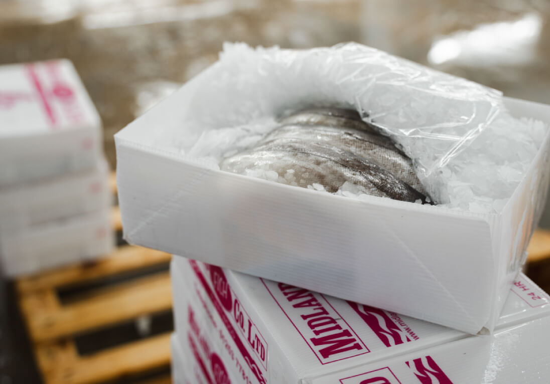 Frosne fiskefileter fra Midland vist i Tri Pack-emballage