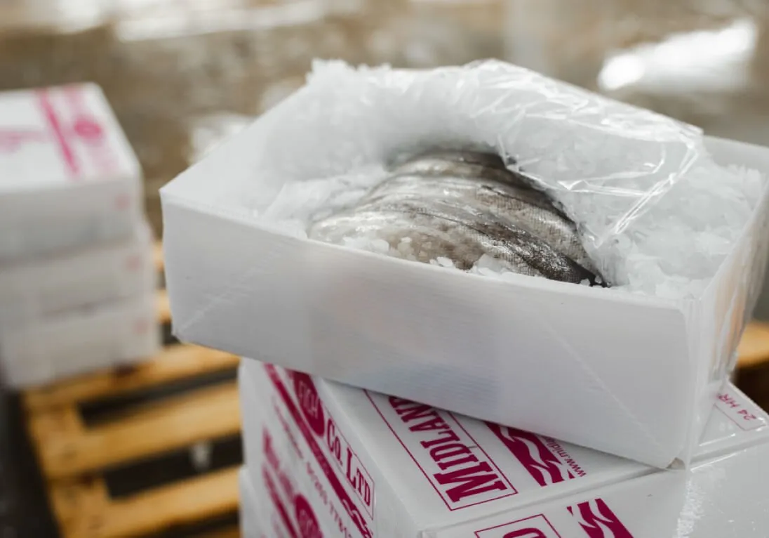 Bevroren visfilets van Midland in tri-pack verpakking