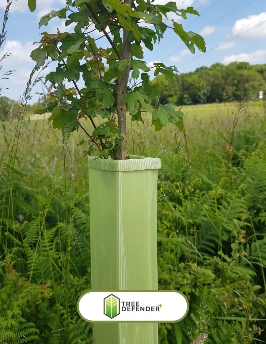 Tree Defender +