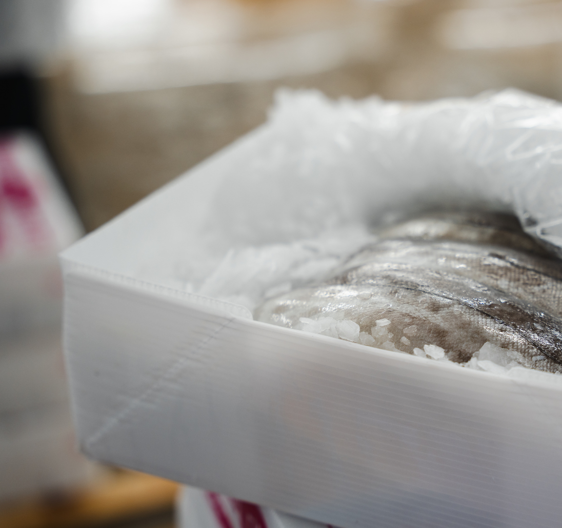 Correx fish boxes & seafood packaging
