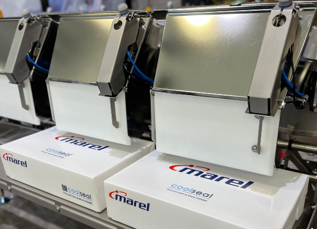 Fish packaging and automation