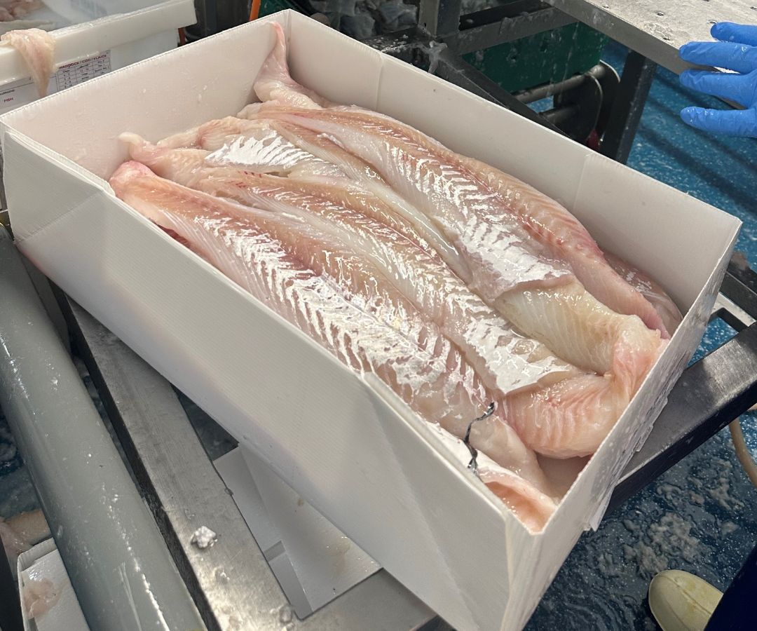 Coolseal Seafood Packaging