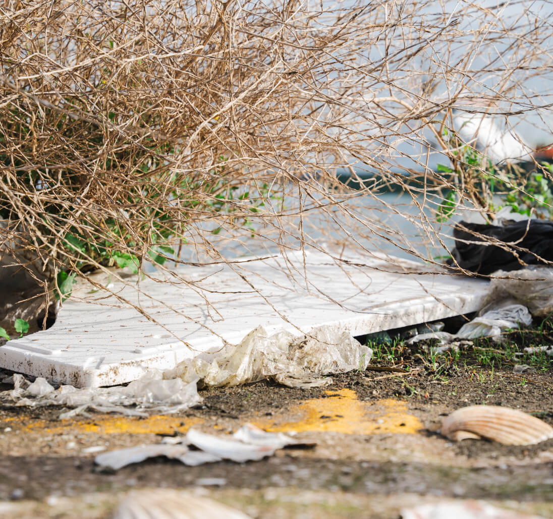 Discarded polystyrene box lid