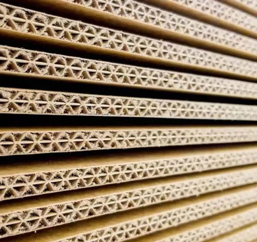Boîtes en carton vues de côté