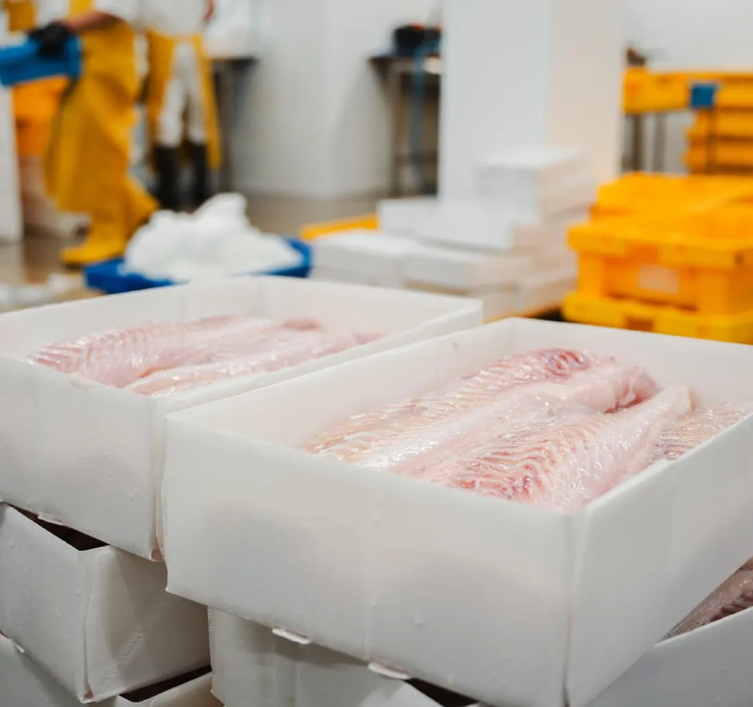 Hysefileter vist i en CoolSeal-eske produsert av Tri Pack