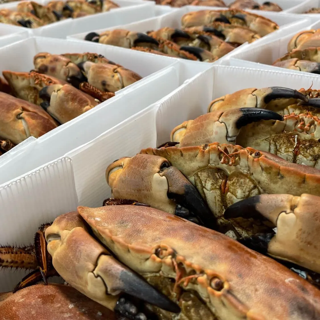 Crabs packages in CoolSeal boxes