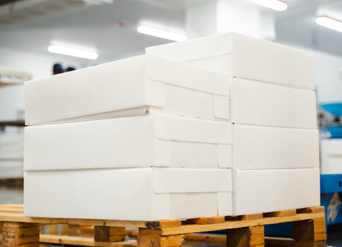 Boîtes CoolSeal en marque blanche. Emballage d'échantillons pour la distribution de fruits de mer et l'expédition dans le cadre de la chaîne du froid.