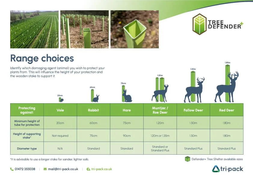 Infographie sur les abris pour arbres de Tree Defenders