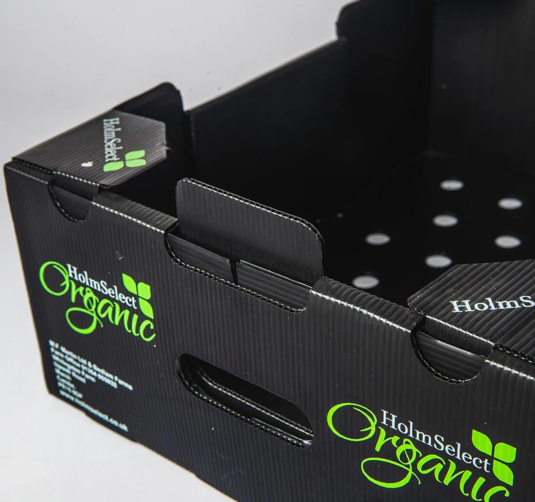 Holmselect Organic Box