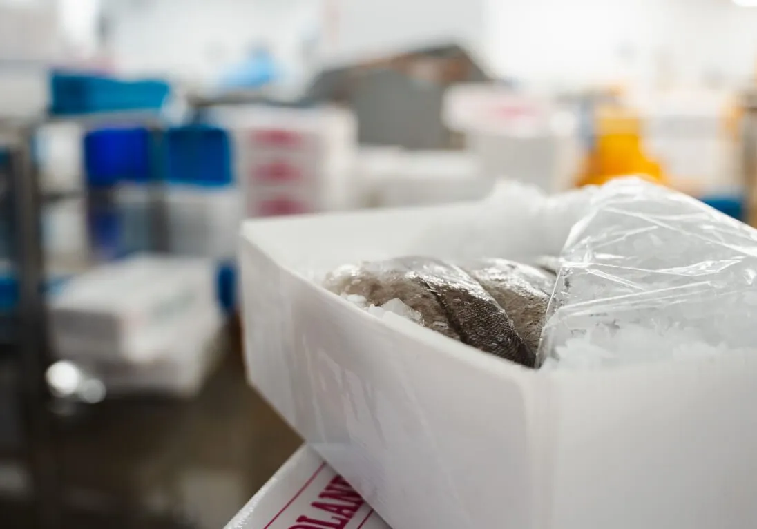 Fiskflök í CoolSeal kassa framleidd af Tri Pack fyrir Midland Fish Co.