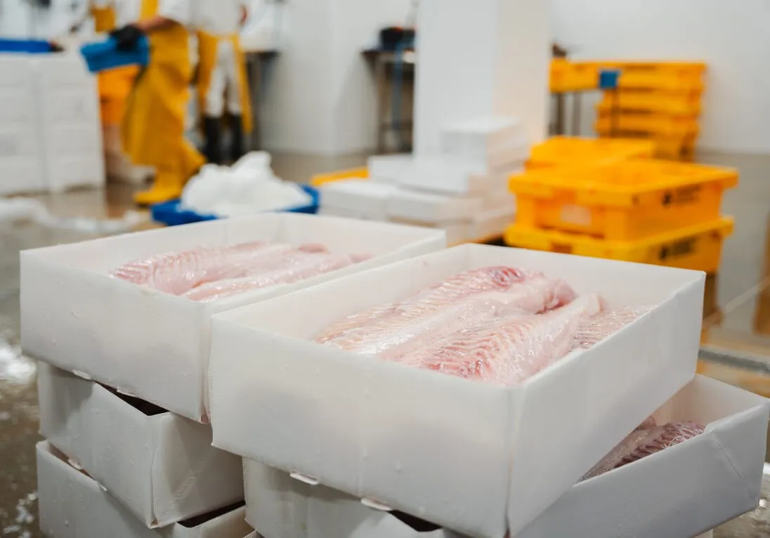 Hysefileter vist i en CoolSeal-eske produsert av Tri Pack