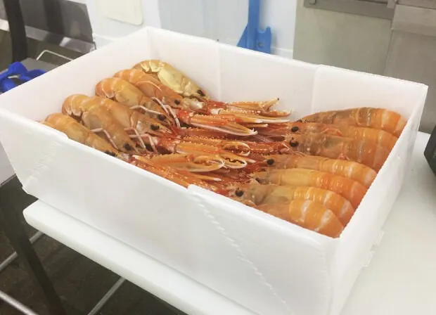 Langoustines dans une boîte CoolSeal de Tri Pack