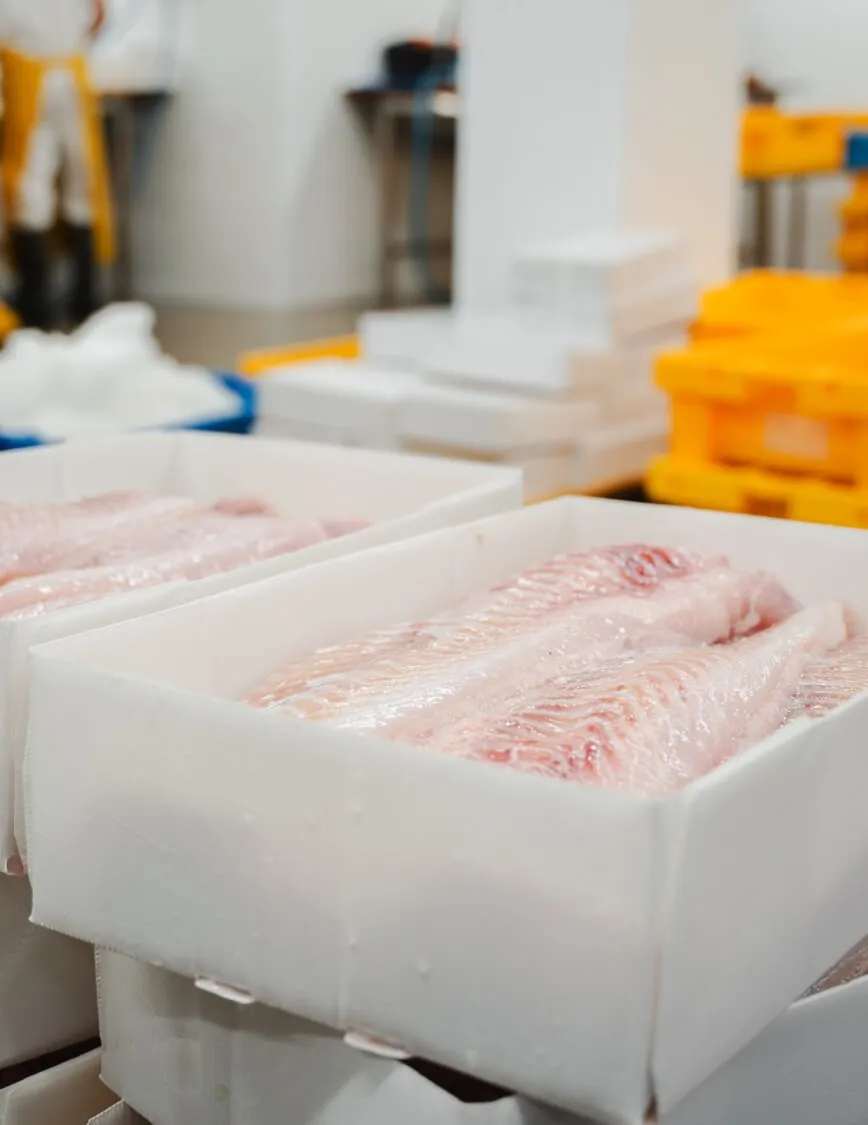 Schelvisfilets in een CoolSeal-doos van Tri Pack