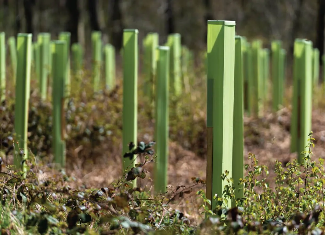 Tree Defender + boomschuilplaatsen van Tri Pack - close-up